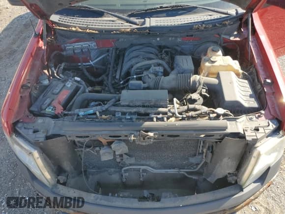 ✅ 2009 Ford F-150 XL • VIN: 1FTRF12839KB75312 • Лот: 71696715. Опубликован ранее на Copart с пробегом 227 802 миль. Бесплатный доступ к архиву аукционных продаж из США и подробный отчёт об истории автомобиля на DreamBid. Изображение 11.