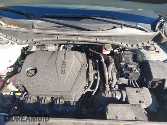 2024 Hyundai Santa Cruz SE с VIN 5NTJA4DE9RH112103, выставлен на аукционе IAAI как лот 43537480 с пробегом 34 265 миль миль и . История ставок и продаж доступна на DreamBid. Изображение 10.