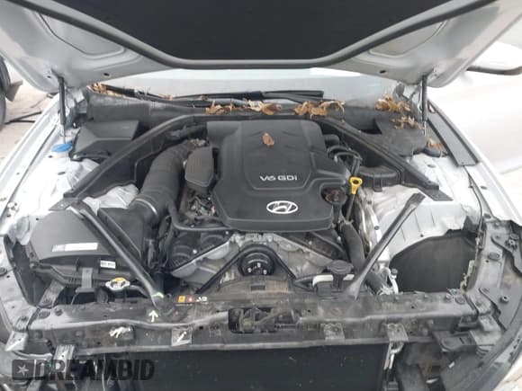 ✅ 2015 Hyundai Genesis 3.8L • VIN: KMHGN4JE7FU035990 • Lot: 41118477. Wystawiony na IAAI z przebiegiem 35 383 mil. Bezpłatny archiwum sprzedaży aukcyjnych z USA i szczegółowy raport historii pojazdu na DreamBid. Zdjęcie 10.