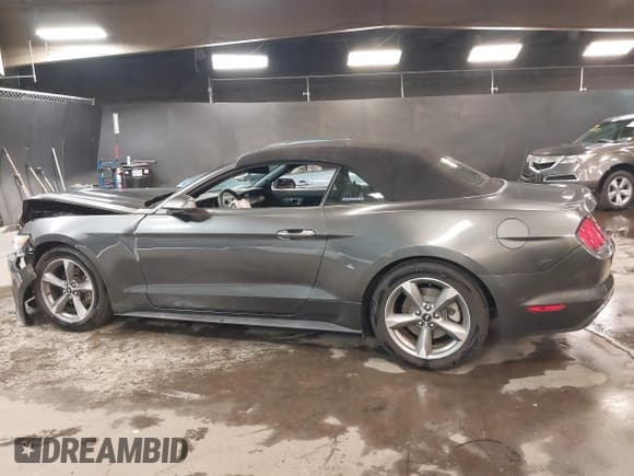 ✅ 2017 Ford Mustang V6 • VIN: 1FATP8EM5H5238210 • Lot: 41983430. Listed on IAAI with 18,792 mi. Free auction sales archive from the USA and detailed vehicle history report at DreamBid. Image 14.