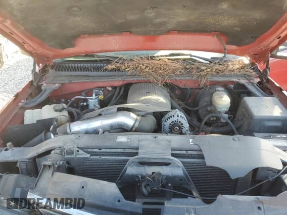 ✅ 2006 Chevrolet Silverado 1500 LS • VIN: 2GCEK19B961274448 • Lot: 77346764. Wystawiony na Copart z przebiegiem 343 618 mil mil. Skorzystaj z bezpłatnego archiwum sprzedaży aukcyjnych z USA i zobacz szczegółowy raport historii pojazdu na DreamBid. Zdjęcie 11.