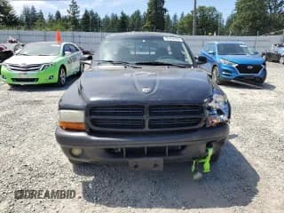 ✅ 2001 Dodge Dakota • VIN: 1B7GL22X81S338912 • Lot: 60494935. Wystawiony na Copart z przebiegiem 194 401 mil. Bezpłatny archiwum sprzedaży aukcyjnych z USA i szczegółowy raport historii pojazdu na DreamBid. Zdjęcie 5.