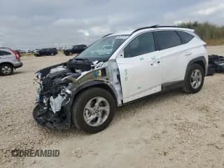 ✅ 2024 Hyundai Tucson SEL • VIN: 5NMJB3DE5RH370766 • Лот: 45557035. Опубликован ранее на Copart с пробегом 3 039 миль. Бесплатный доступ к архиву аукционных продаж из США и подробный отчёт об истории автомобиля на DreamBid. Изображение 1.