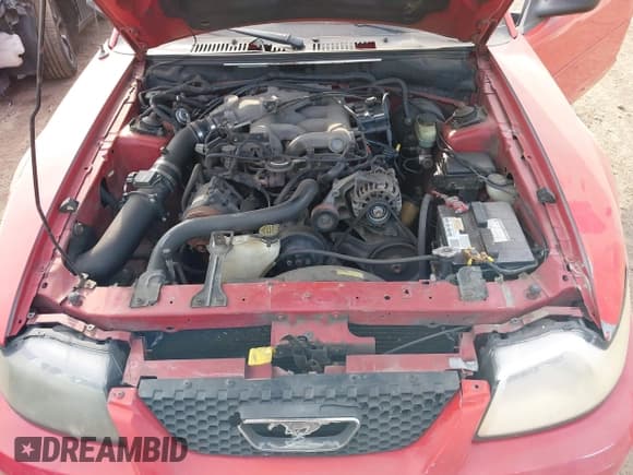 ✅ 2003 Ford Mustang Standard • VIN: 1FAFP40403F411552 • Lot: 42829909. Wystawiony na IAAI z przebiegiem 217 558 mil. Bezpłatny archiwum sprzedaży aukcyjnych z USA i szczegółowy raport historii pojazdu na DreamBid. Zdjęcie 10.