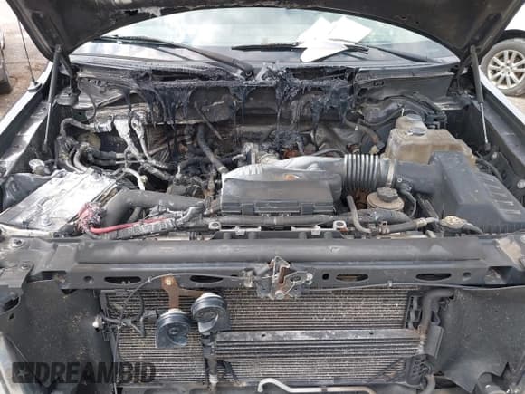 ✅ 2010 Ford F-150 XL • VIN: 1FTEX1EWXAFA94925 • Лот: 42651966. Опубликован ранее на IAAI с пробегом Не указан. Бесплатный доступ к архиву аукционных продаж из США и подробный отчёт об истории автомобиля на DreamBid. Изображение 10.