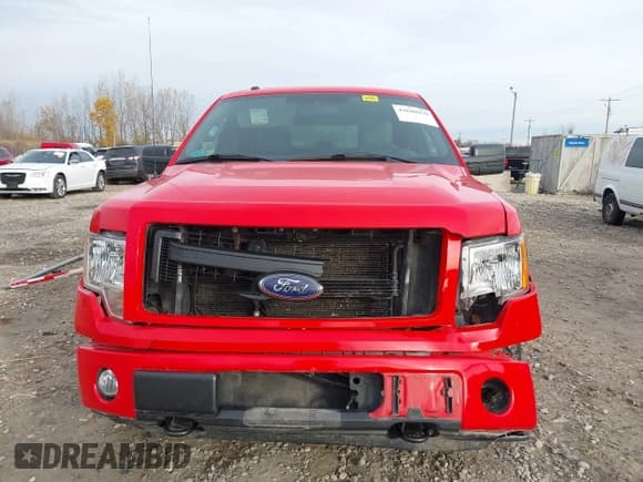 ✅ 2013 Ford F-150 XLT • VIN: 1FTFX1EF4DFC10788 • Lot: 43640979. Listed on IAAI with 113,224 mi. Free auction sales archive from the USA and detailed vehicle history report at DreamBid. Image 12.