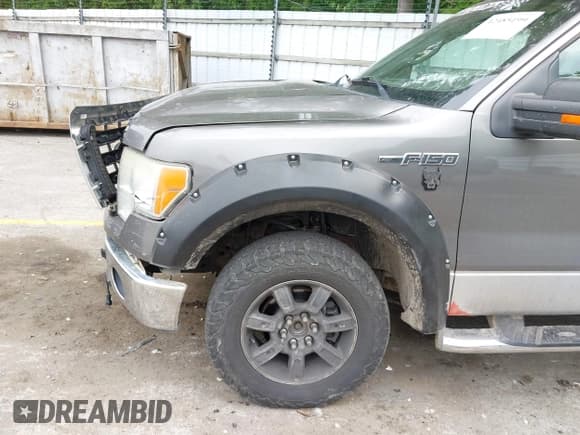 ✅ 2009 Ford F-150 XL • VIN: 1FTRW14829FB24504 • Lot: 42485199. Listed on IAAI with 198,639 mi. Free auction sales archive from the USA and detailed vehicle history report at DreamBid. Image 6.
