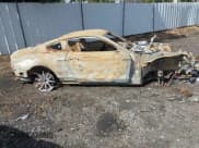 ✅ 2016 Ford Mustang Shelby GT350 • VIN: 1FA6P8JZ3G5520682 • Lot: 43458825. Listed on IAAI with Not provided. Free auction sales archive from the USA and detailed vehicle history report at DreamBid. Image 13.