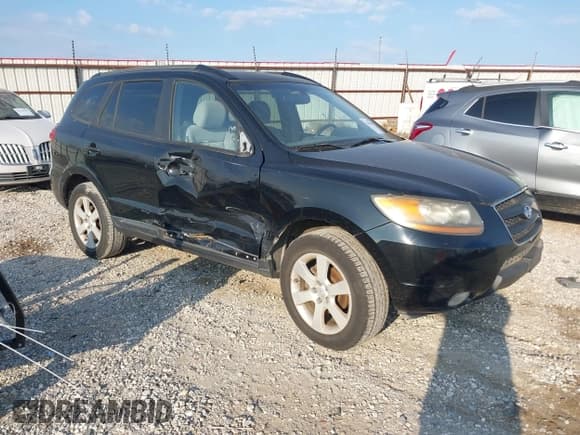 ✅ 2008 Hyundai Santa Fe SE • VIN: 5NMSH13E38H144376 • Lot: 43681669. Listed on IAAI with 251,513 mi. Free auction sales archive from the USA and detailed vehicle history report at DreamBid. Image 1.