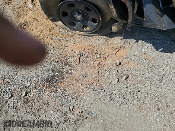 ✅ 2006 Nissan Xterra S • VIN: 5N1AN08W16C527384 • Lot: 76868334. Wystawiony na Copart z przebiegiem Nie podano. Bezpłatny archiwum sprzedaży aukcyjnych z USA i szczegółowy raport historii pojazdu na DreamBid. Zdjęcie 12.