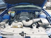 ✅ 2007 Ford Mustang GT Deluxe • VIN: 1ZVFT85H875257335 • Лот: 42489672. Опубликован ранее на IAAI с пробегом 50 334 миль. Бесплатный доступ к архиву аукционных продаж из США и подробный отчёт об истории автомобиля на DreamBid. Изображение 10.