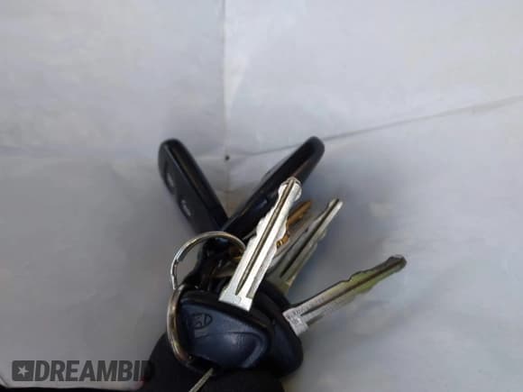 ✅ 2008 Hyundai Santa Fe GLS • VIN: 5NMSG13D88H220412 • Lot: 43729510. Listed on IAAI with 235,773 mi. Free auction sales archive from the USA and detailed vehicle history report at DreamBid. Image 11.