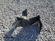 ✅ 2020 Toyota Corolla XSE • VIN: 5YFT4RCE7LP047100 • Лот: 85367535. Опубликован ранее на Copart с пробегом 45 780 миль. Бесплатный доступ к архиву аукционных продаж из США и подробный отчёт об истории автомобиля на DreamBid. Изображение 12.