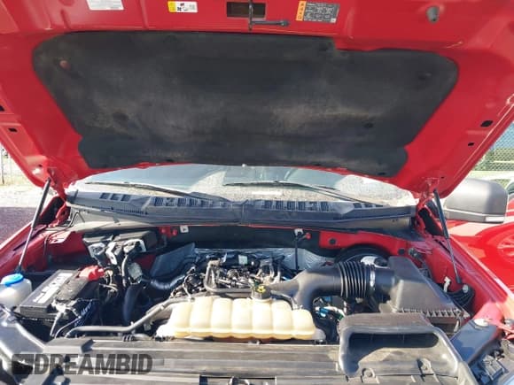 ✅ 2019 Ford F-150 XL • VIN: 1FTEW1CP6KKD96574 • Lot: 42964031. Listed on IAAI with 178,998 mi. Free auction sales archive from the USA and detailed vehicle history report at DreamBid. Image 10.