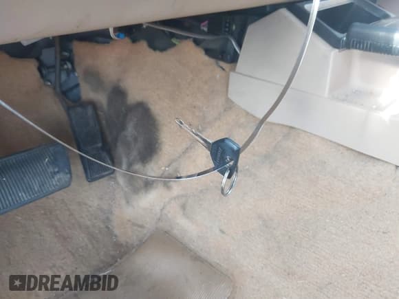 ✅ 1995 Jeep Cherokee Sport • VIN: 1J4FJ68S3SL555908 • Lot: 42222016. Listed on IAAI with 283,444 mi. Free auction sales archive from the USA and detailed vehicle history report at DreamBid. Image 11.