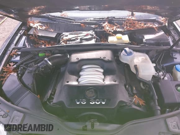 ✅ 2005 Volkswagen Passat GLX • VIN: WVWYU63B75E040674 • Lot: 43775934. Listed on IAAI with 272,182 mi. Free auction sales archive from the USA and detailed vehicle history report at DreamBid. Image 10.