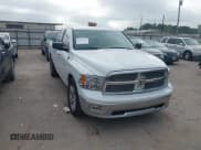 ✅ 2010 Dodge 1500 SLT • VIN: 1D7RB1GP0AS141530 • Lot: 41879543. Wystawiony na IAAI z przebiegiem 282 130 mil. Bezpłatny archiwum sprzedaży aukcyjnych z USA i szczegółowy raport historii pojazdu na DreamBid. Zdjęcie 1.