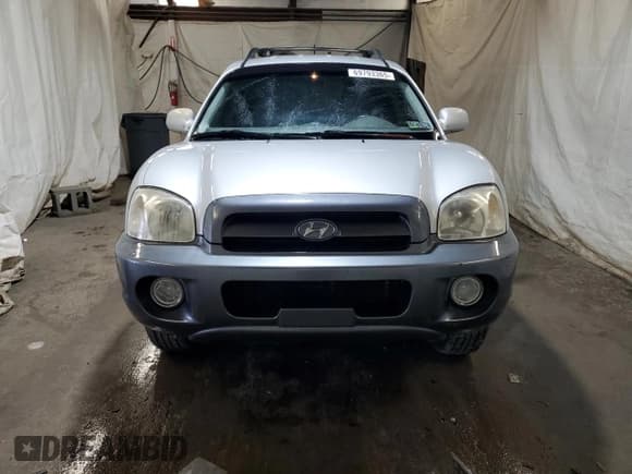 ✅ 2006 Hyundai Santa Fe GLS • VIN: KM8SC13D56U070515 • Lot: 69793365. Listed on Copart with 187,516 mi. Free auction sales archive from the USA and detailed vehicle history report at DreamBid. Image 5.