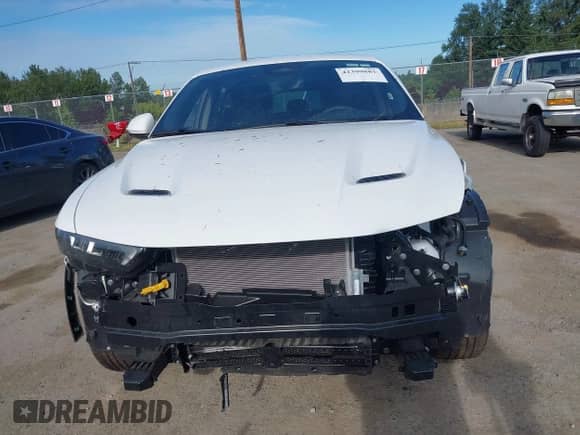 2024 Dodge Hornet R/T z VIN ZACPDFCWXR3A33544, wystawiony jako IAAI lot #42399881 z przebiegiem 2 027 mil mil oraz . Historia ofert i sprzedaży dostępna na DreamBid. Obrazek 13.