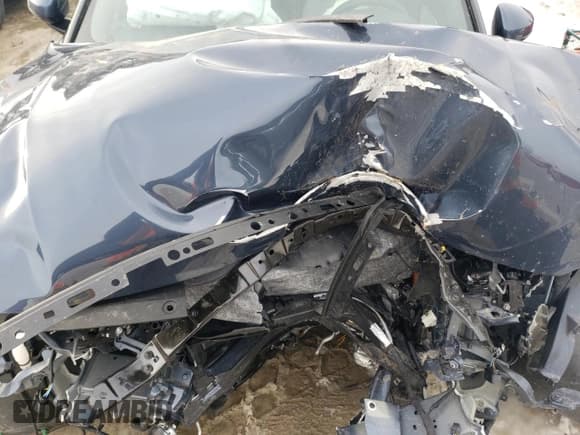 ✅ 2024 Polestar 2 Performance Plus • VIN: YSMFG3KA2RL220155 • Лот: 41448115. Опубликован ранее на Copart с пробегом Не указан. Бесплатный доступ к архиву аукционных продаж из США и подробный отчёт об истории автомобиля на DreamBid. Изображение 11.