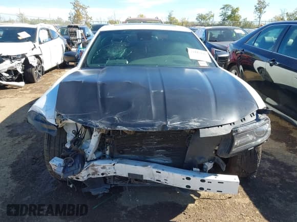 ✅ 2015 Dodge Charger Road/Track • VIN: 2C3CDXCT2FH825885 • Лот: 43447148. Опубликован ранее на IAAI с пробегом 136 130 миль. Бесплатный доступ к архиву аукционных продаж из США и подробный отчёт об истории автомобиля на DreamBid. Изображение 12.