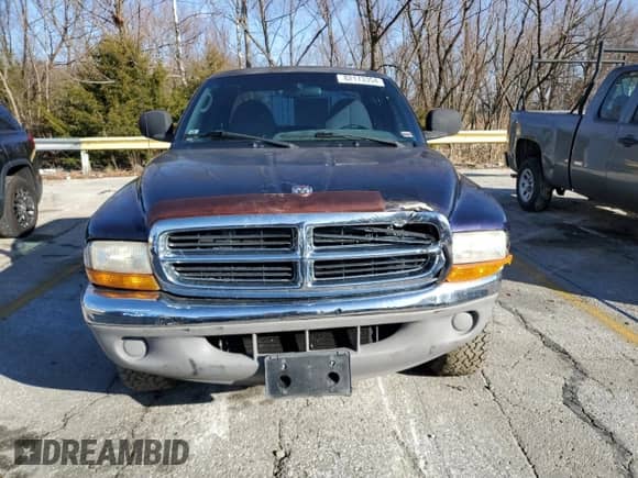 1999 Dodge Dakota SLT z VIN 1B7GG22X1XS259059, wystawiony jako Copart lot #82173354 z przebiegiem 138 764 mil mil oraz Szkoda całkowita • Salvage title. Historia ofert i sprzedaży dostępna na DreamBid. Obrazek 5.