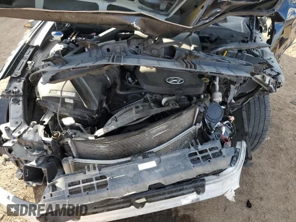 ✅ 2016 Hyundai Genesis 3.8L • VIN: KMHGN4JE0GU113298 • Lot: 84110164. Wystawiony na Copart z przebiegiem 128 114 mil. Bezpłatny archiwum sprzedaży aukcyjnych z USA i szczegółowy raport historii pojazdu na DreamBid. Zdjęcie 12.