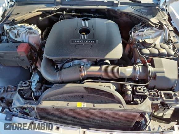 ✅ 2017 Jaguar XE 25t • VIN: SAJAR4BG2HA976185 • Lot: 81405715. Listed on Copart with 73,307 mi. Free auction sales archive from the USA and detailed vehicle history report at DreamBid. Image 11.