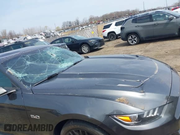 ✅ 2017 Ford Mustang GT • VIN: 1FA6P8CFXH5271477 • Lot: 42005940. Listed on IAAI with 39,261 mi. Free auction sales archive from the USA and detailed vehicle history report at DreamBid. Image 6.