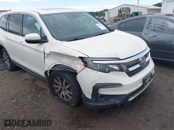 ✅ 2019 Honda Pilot EX-L • VIN: 5FNYF5H53KB025428 • Lot: 42232477. Listed on IAAI with 115,221 mi. Free auction sales archive from the USA and detailed vehicle history report at DreamBid. Image 1.