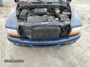 ✅ 2000 Dodge Durango • VIN: 1B4HS28N7YF287898 • Lot: 58996215. Wystawiony na Copart z przebiegiem 135 442 mil. Bezpłatny archiwum sprzedaży aukcyjnych z USA i szczegółowy raport historii pojazdu na DreamBid. Zdjęcie 12.