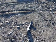 ✅ 2021 Toyota RAV4 LE • VIN: 2T3G1RFV1MC168560 • Лот: 43621512. Опубликован ранее на IAAI с пробегом 48 070 миль. Бесплатный доступ к архиву аукционных продаж из США и подробный отчёт об истории автомобиля на DreamBid. Изображение 12.