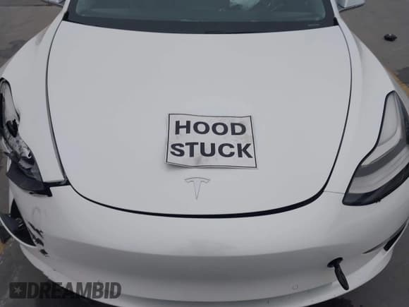 ✅ 2020 Tesla Model 3 Standard Range Plus • VIN: 5YJ3E1EA7LF633297 • Лот: 43512248. Опубликован ранее на IAAI с пробегом Не указан. Бесплатный доступ к архиву аукционных продаж из США и подробный отчёт об истории автомобиля на DreamBid. Изображение 10.