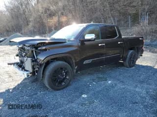 ✅ 2023 Toyota Tundra 1794 Edition • VIN: 5TFMC5DB4PX023350 • Lot: 50191485. Listed on Copart with 23,035 mi. Free auction sales archive from the USA and detailed vehicle history report at DreamBid. Image 1.