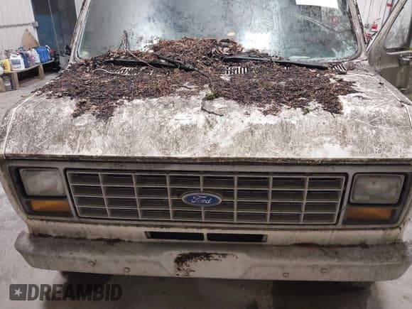 ✅ 1991 Ford Econoline Cargo • VIN: 1FTES14N5MHA51447 • Lot: 43497014. Wystawiony na IAAI z przebiegiem 18 049 mil. Bezpłatny archiwum sprzedaży aukcyjnych z USA i szczegółowy raport historii pojazdu na DreamBid. Zdjęcie 10.