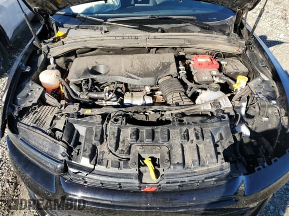 ✅ 2024 Dodge Hornet R/T • VIN: ZACPDFCW1R3A26322 • Lot: 86514075. Wystawiony na Copart z przebiegiem 32 662 mil. Bezpłatny archiwum sprzedaży aukcyjnych z USA i szczegółowy raport historii pojazdu na DreamBid. Zdjęcie 12.