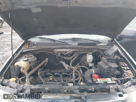 ✅ 2009 Ford Escape XLT • VIN: 1FMCU03779KB00149 • Lot: 43670236. Listed on IAAI with 292,338 mi. Free auction sales archive from the USA and detailed vehicle history report at DreamBid. Image 10.