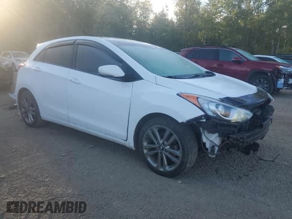 ✅ 2017 Hyundai Elantra • VIN: KMHD35LH2HU371944 • Lot: 80548815. Listed on Copart with 202,965 mi. Free auction sales archive from the USA and detailed vehicle history report at DreamBid. Image 4.