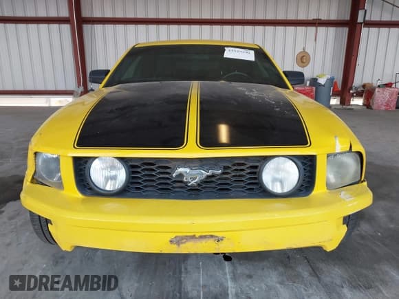 ✅ 2006 Ford Mustang GT Deluxe • VIN: 1ZVHT82H465140329 • Лот: 43529291. Опубликован ранее на IAAI с пробегом 217 608 миль. Бесплатный доступ к архиву аукционных продаж из США и подробный отчёт об истории автомобиля на DreamBid. Изображение 12.