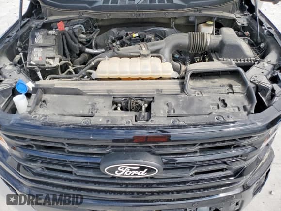 ✅ 2024 Ford F-150 XLT • VIN: 1FTEW3KPXRKD93166 • Lot: 81771015. Wystawiony na Copart z przebiegiem 21 786 mil. Bezpłatny archiwum sprzedaży aukcyjnych z USA i szczegółowy raport historii pojazdu na DreamBid. Zdjęcie 11.