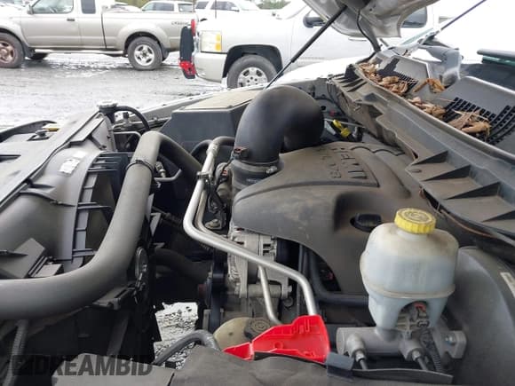 ✅ 2010 Dodge 1500 SLT • VIN: 1D7RB1CT5AS203992 • Lot: 41931671. Wystawiony na IAAI z przebiegiem 122 831 mil. Bezpłatny archiwum sprzedaży aukcyjnych z USA i szczegółowy raport historii pojazdu na DreamBid. Zdjęcie 10.