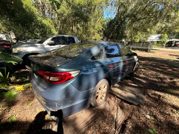 2016 Hyundai Sonata 2.4L z VIN 5NPE24AF7GH268034, wystawiony jako Copart lot #91316115 z przebiegiem Nie podano mil oraz Czysty tytuł • Clean title. Historia ofert i sprzedaży dostępna na DreamBid. Obrazek 4.