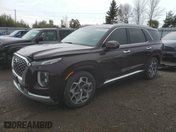 2021 Hyundai Palisade Limited с VIN KM8R5DHE6MU291047, выставлен на аукционе Copart как лот 72892824 с пробегом 118 457 миль миль и Списание • Salvage title. История ставок и продаж доступна на DreamBid. Изображение 1.