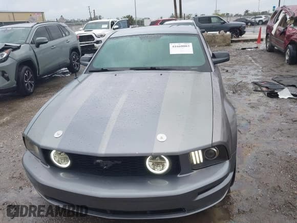 ✅ 2007 Ford Mustang GT Deluxe • VIN: 1ZVFT82H575260357 • Lot: 41660003. Listed on IAAI with 192,320 mi. Free auction sales archive from the USA and detailed vehicle history report at DreamBid. Image 11.