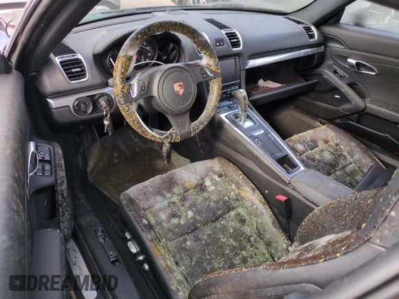 ✅ 2014 Porsche Cayman • VIN: WP0AA2A82EK170311 • Лот: 76123574. Опубликован ранее на Copart с пробегом Не указан. Бесплатный доступ к архиву аукционных продаж из США и подробный отчёт об истории автомобиля на DreamBid. Изображение 8.