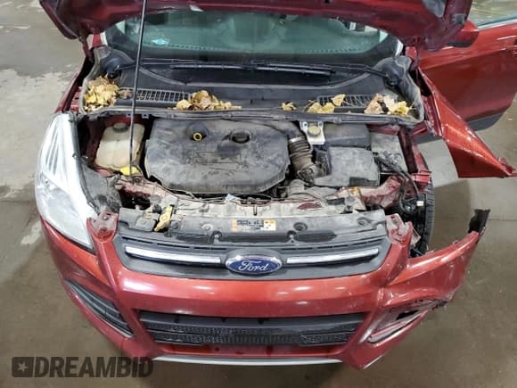 ✅ 2016 Ford Escape SE • VIN: 1FMCU9G93GUA76076 • Lot: 90937235. Listed on Copart with 176,620 mi. Free auction sales archive from the USA and detailed vehicle history report at DreamBid. Image 12.