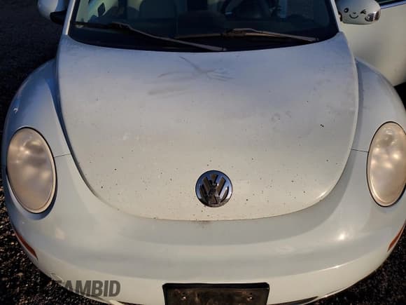 ✅ 2006 Volkswagen Beetle • VIN: 3VWRF31Y16M319759 • Lot: 90759135. Wystawiony na Copart z przebiegiem 124 158 mil. Bezpłatny archiwum sprzedaży aukcyjnych z USA i szczegółowy raport historii pojazdu na DreamBid. Zdjęcie 11.