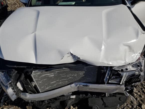 ✅ 2023 Hyundai Santa Fe SEL • VIN: 5NMS3DAJ9PH563329 • Lot: 41374514. Wystawiony na Copart z przebiegiem 3 587 mil. Bezpłatny archiwum sprzedaży aukcyjnych z USA i szczegółowy raport historii pojazdu na DreamBid. Zdjęcie 13.