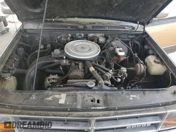 1987 Dodge Dakota with VIN 1B7GN14M9HS305144, listed as a Copart auction lot 57060415 with 116,037 mi miles and Clean title. Bid and sale history available at DreamBid. Image 11.