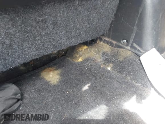 ✅ 2014 Nissan Note S Plus • VIN: 3N1CE2CP2EL415269 • Лот: 42666232. Опубликован ранее на IAAI с пробегом 93 478 миль. Бесплатный доступ к архиву аукционных продаж из США и подробный отчёт об истории автомобиля на DreamBid. Изображение 14.